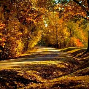 Meet your Posher, Traci